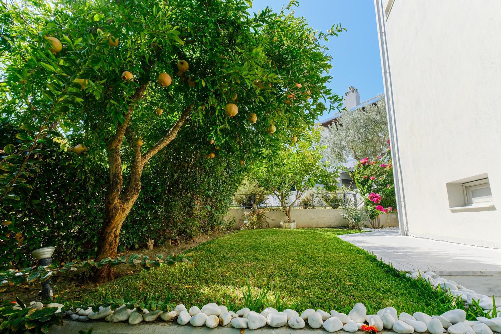 Deluxe Chrousso Pool Villa Paliouri Extérieur photo