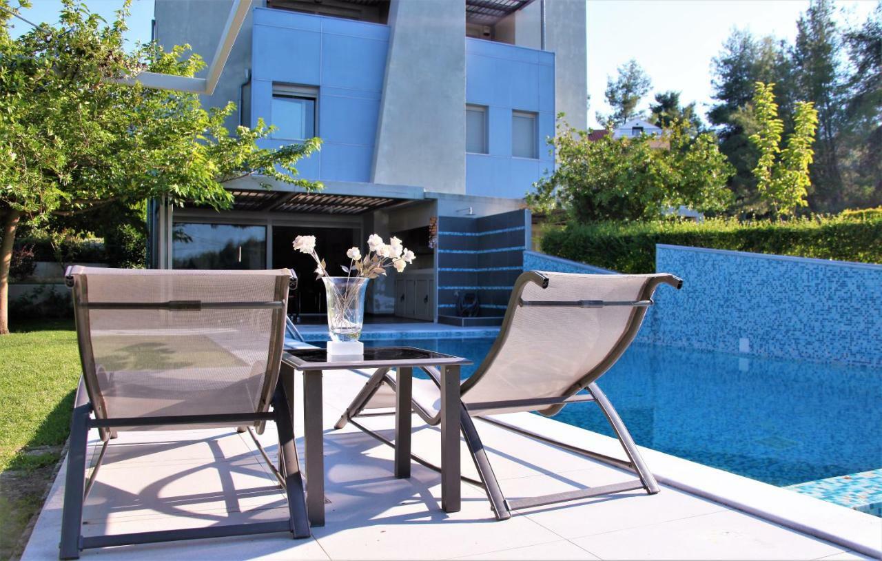 Deluxe Chrousso Pool Villa Paliouri Extérieur photo